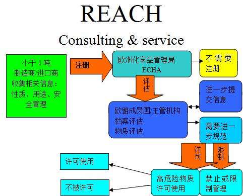 reach认证办理流程