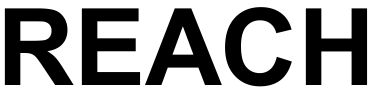 做reach认证公司