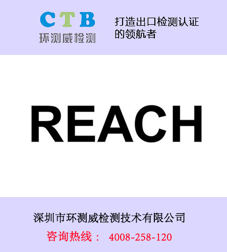 reach报告多少钱