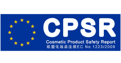 CPSR报告