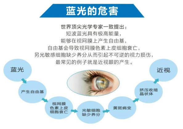 蓝光危害测试